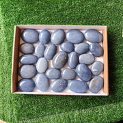 26 pc blue angelite palms