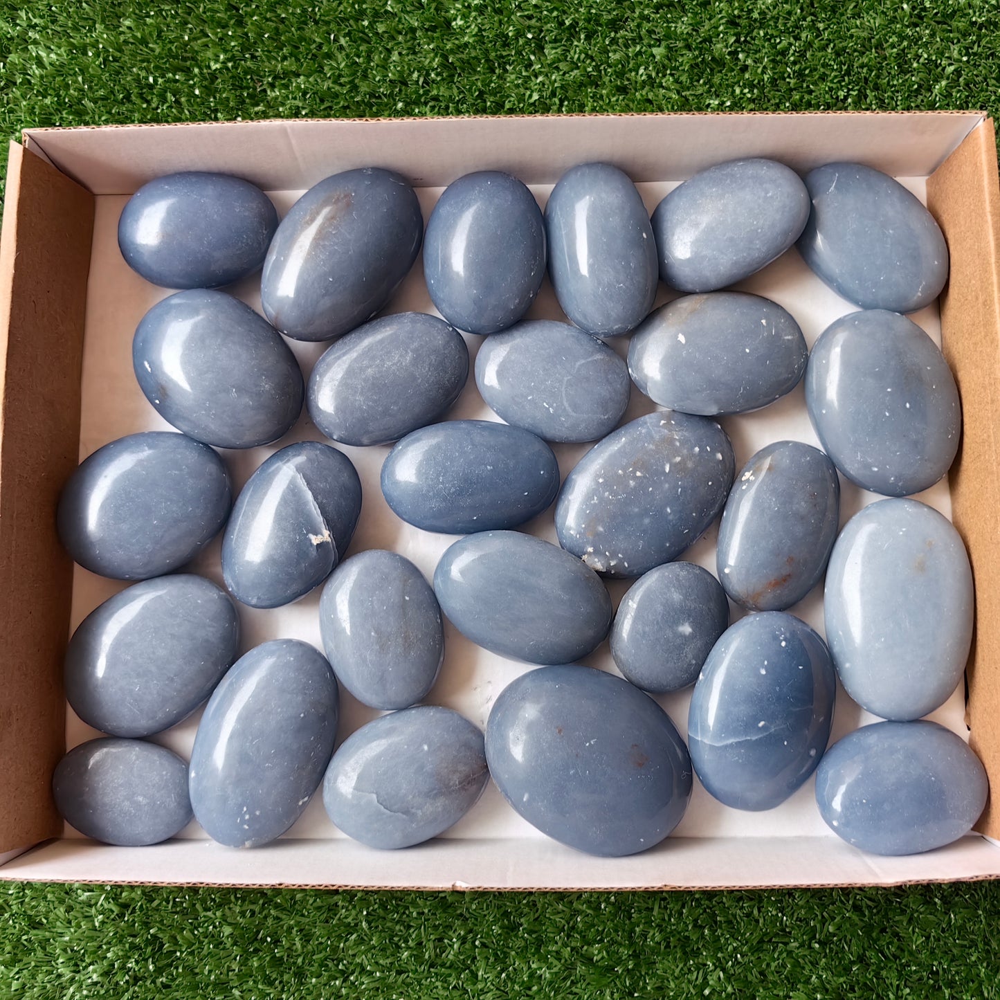 27 pc blue angelite palms
