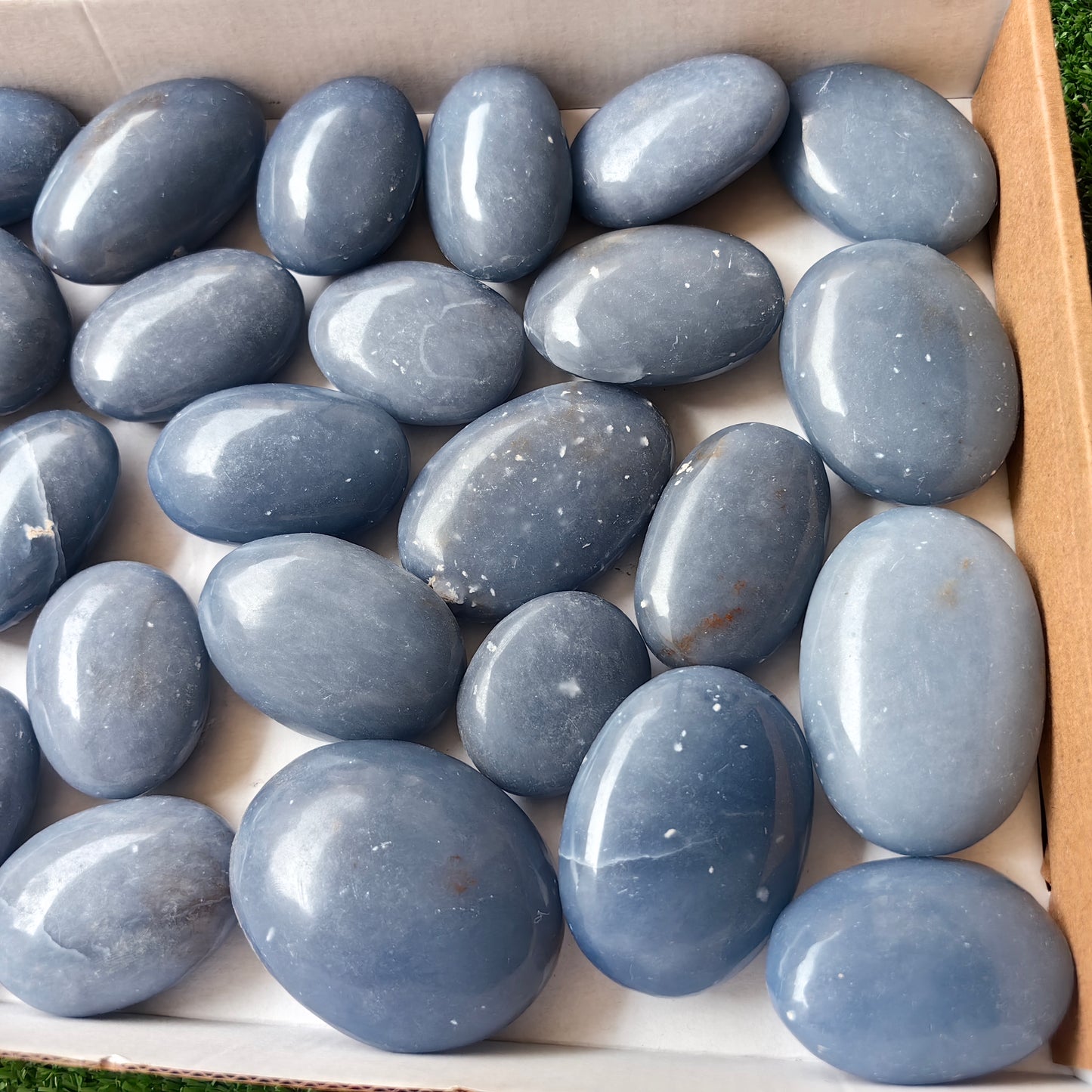27 pc blue angelite palms