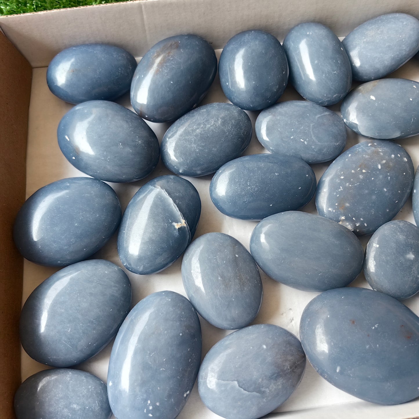 27 pc blue angelite palms