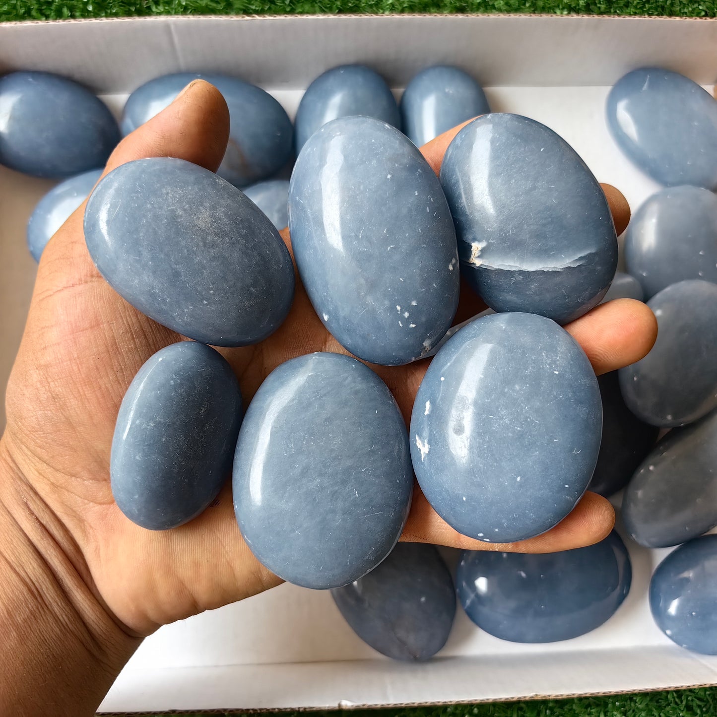 27 pc blue angelite palms