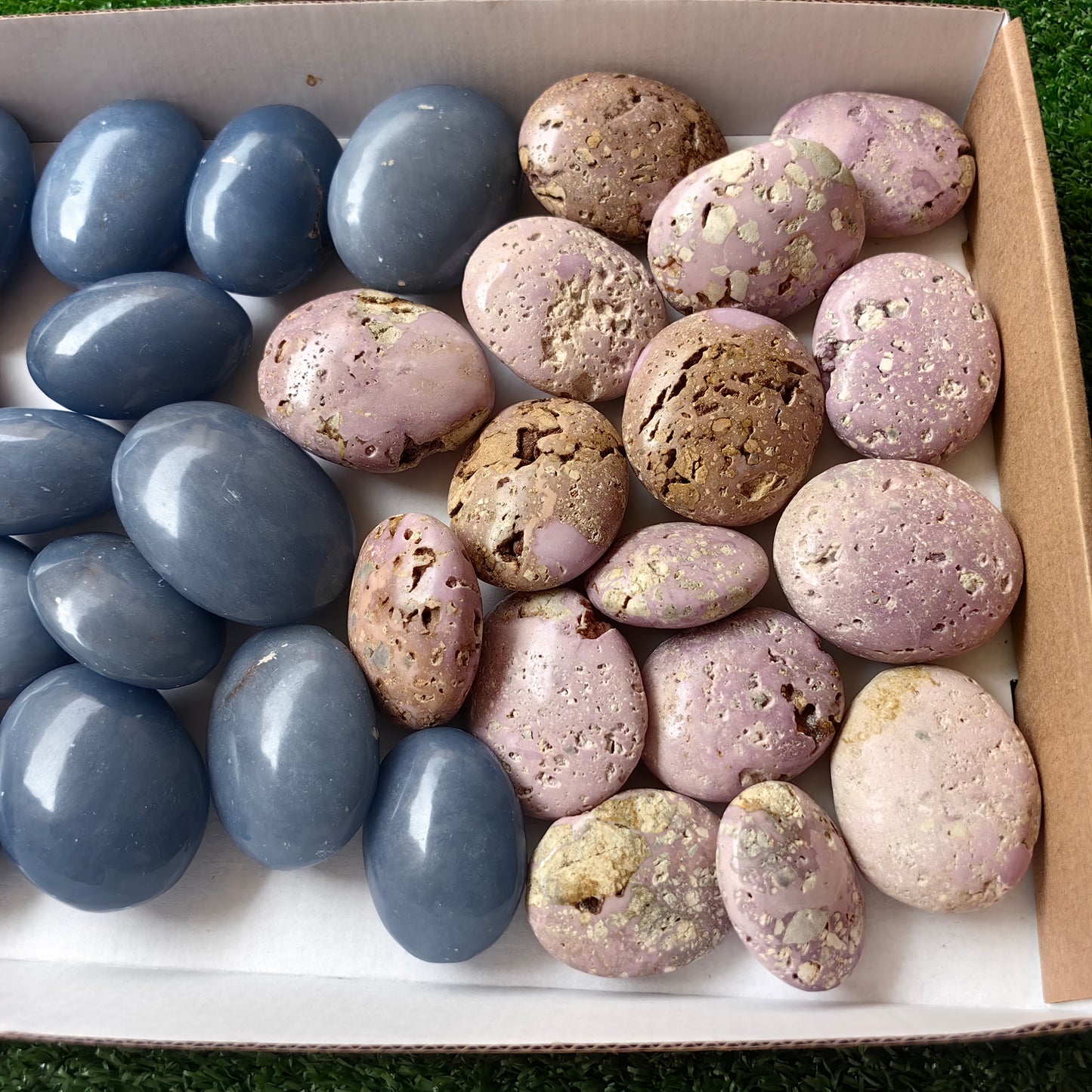 32 pc blue angelite & phosphosiderite palms