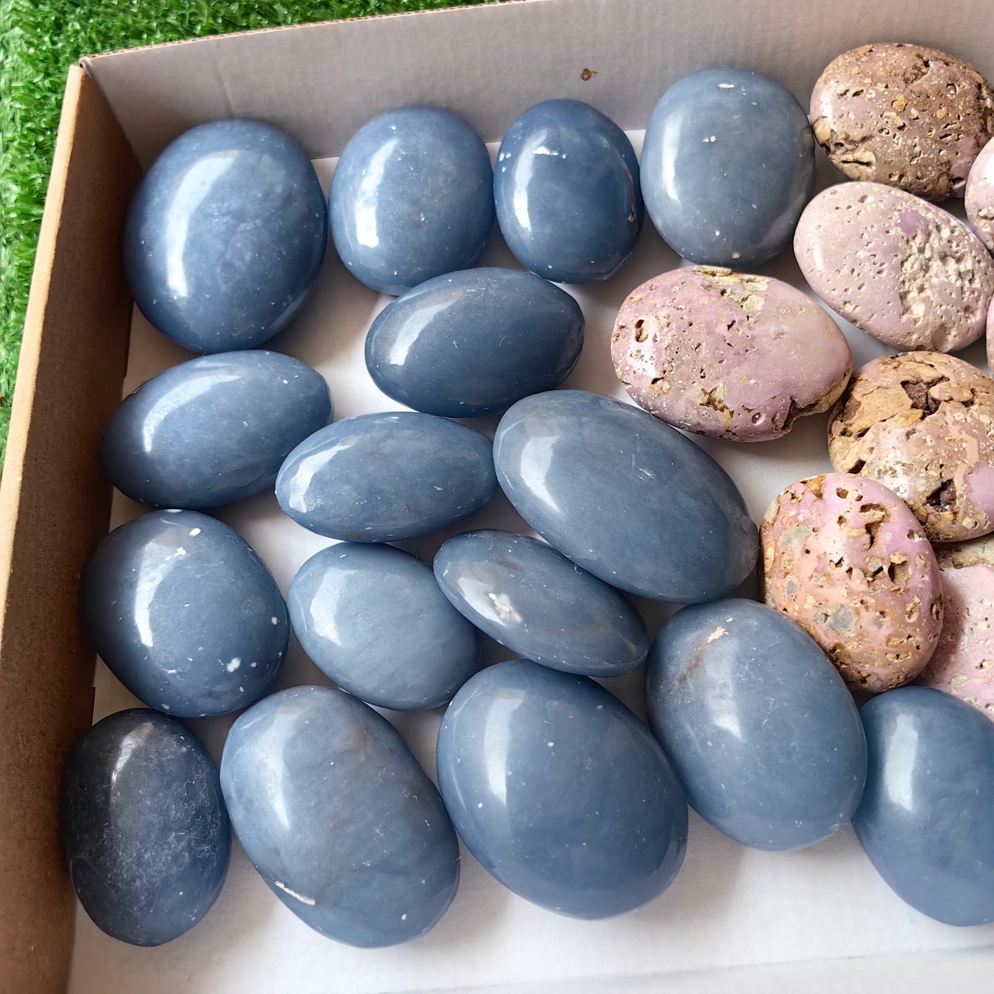 32 pc blue angelite & phosphosiderite palms