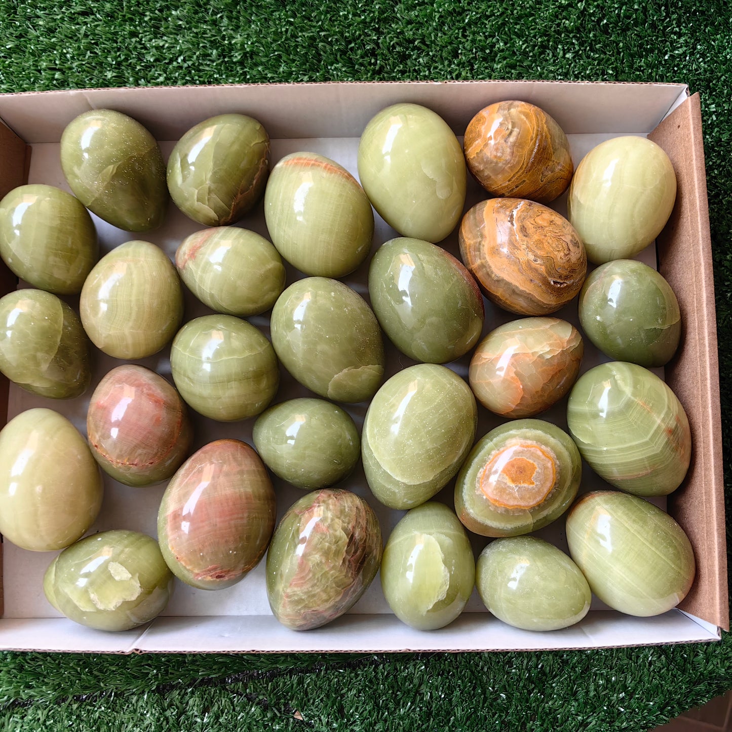 28 pc green onix eggs
