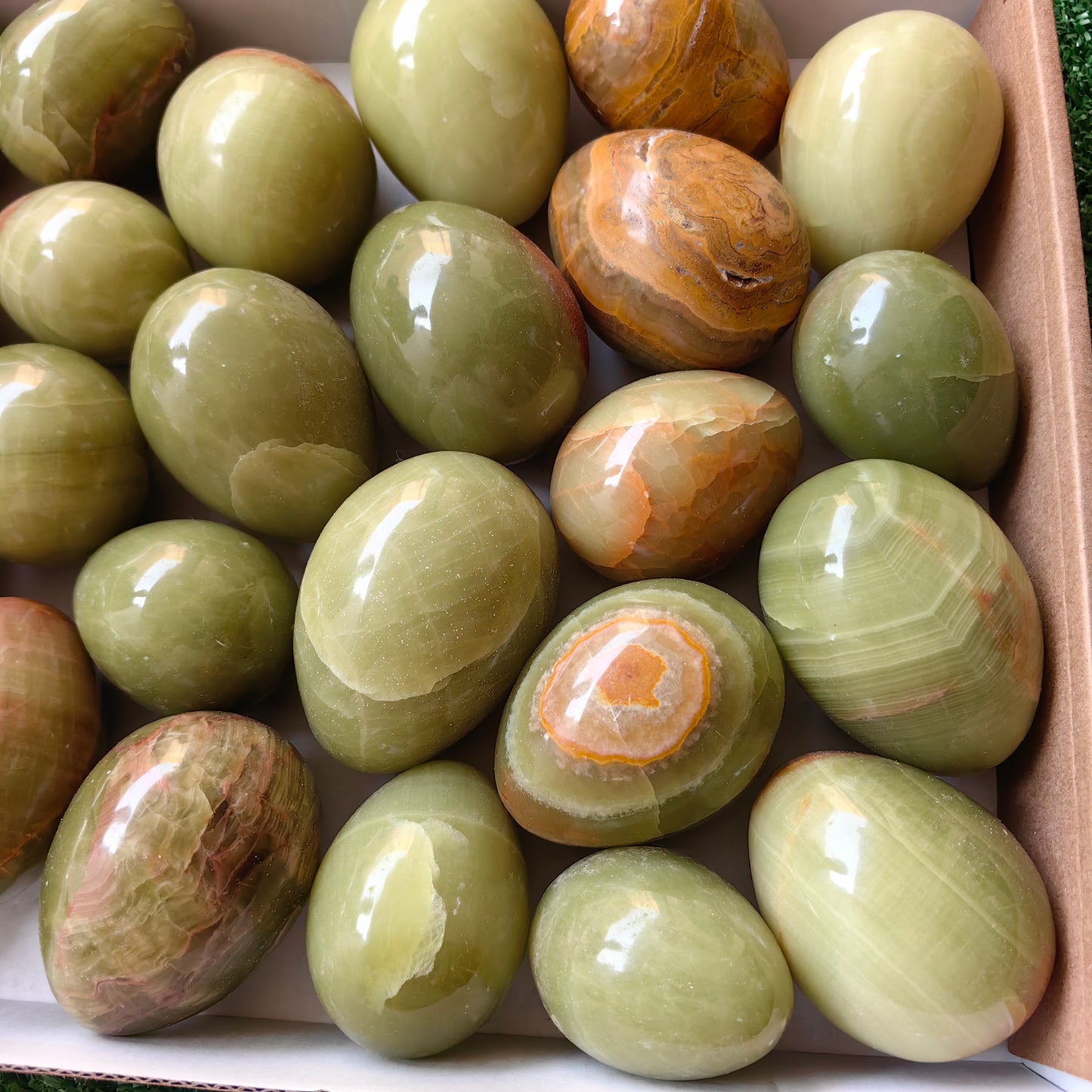 28 pc green onix eggs