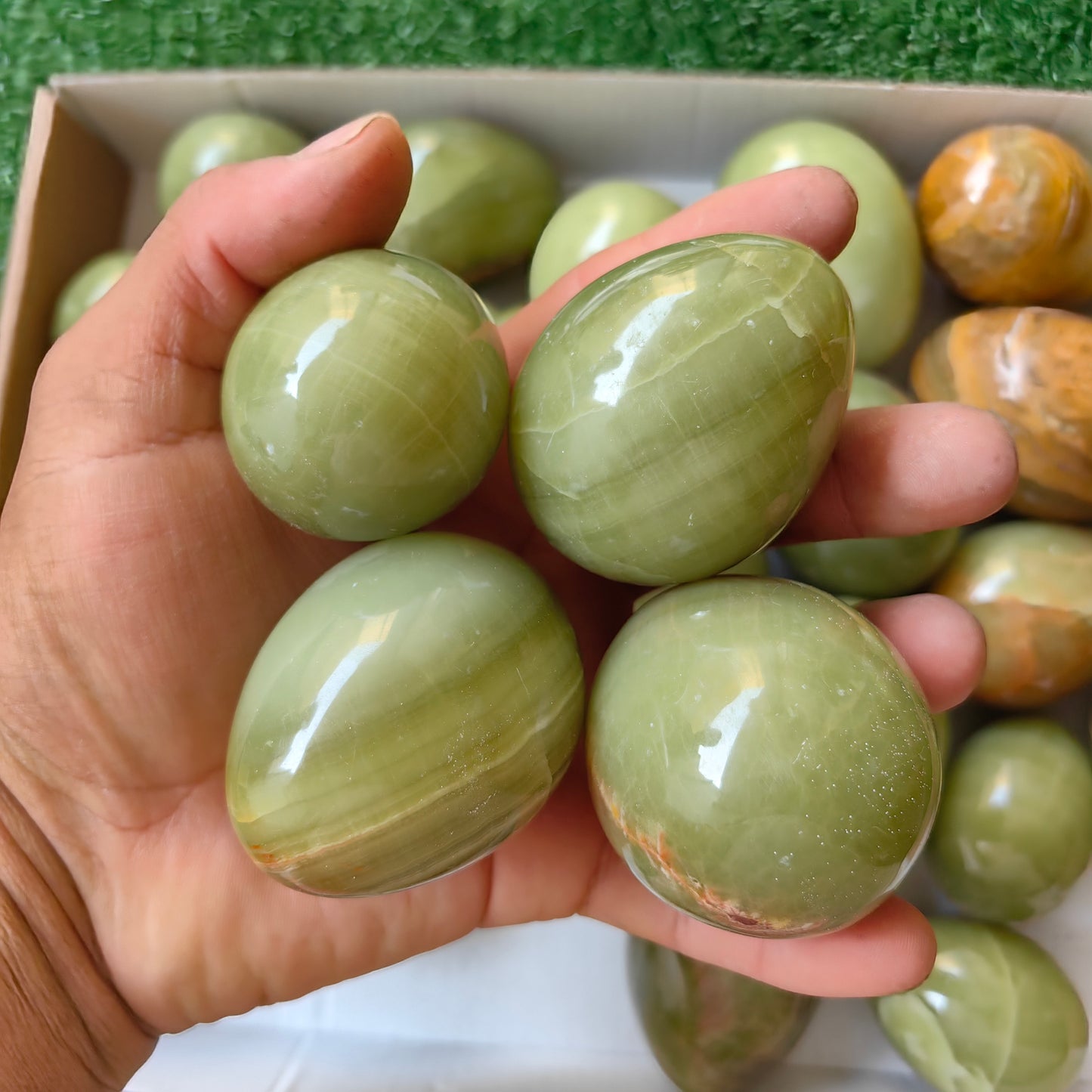 28 pc green onix eggs