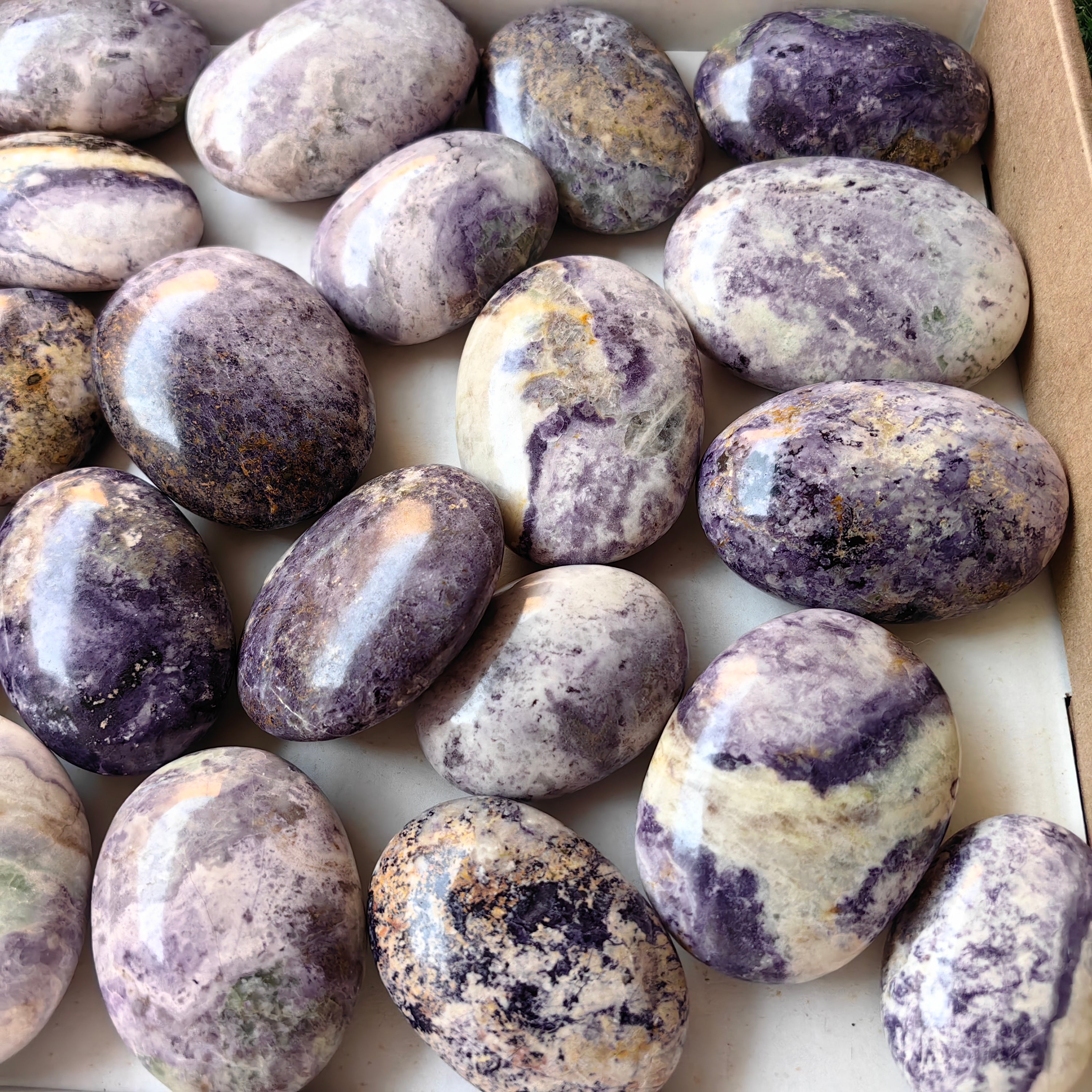 26 pc bolivianite palms