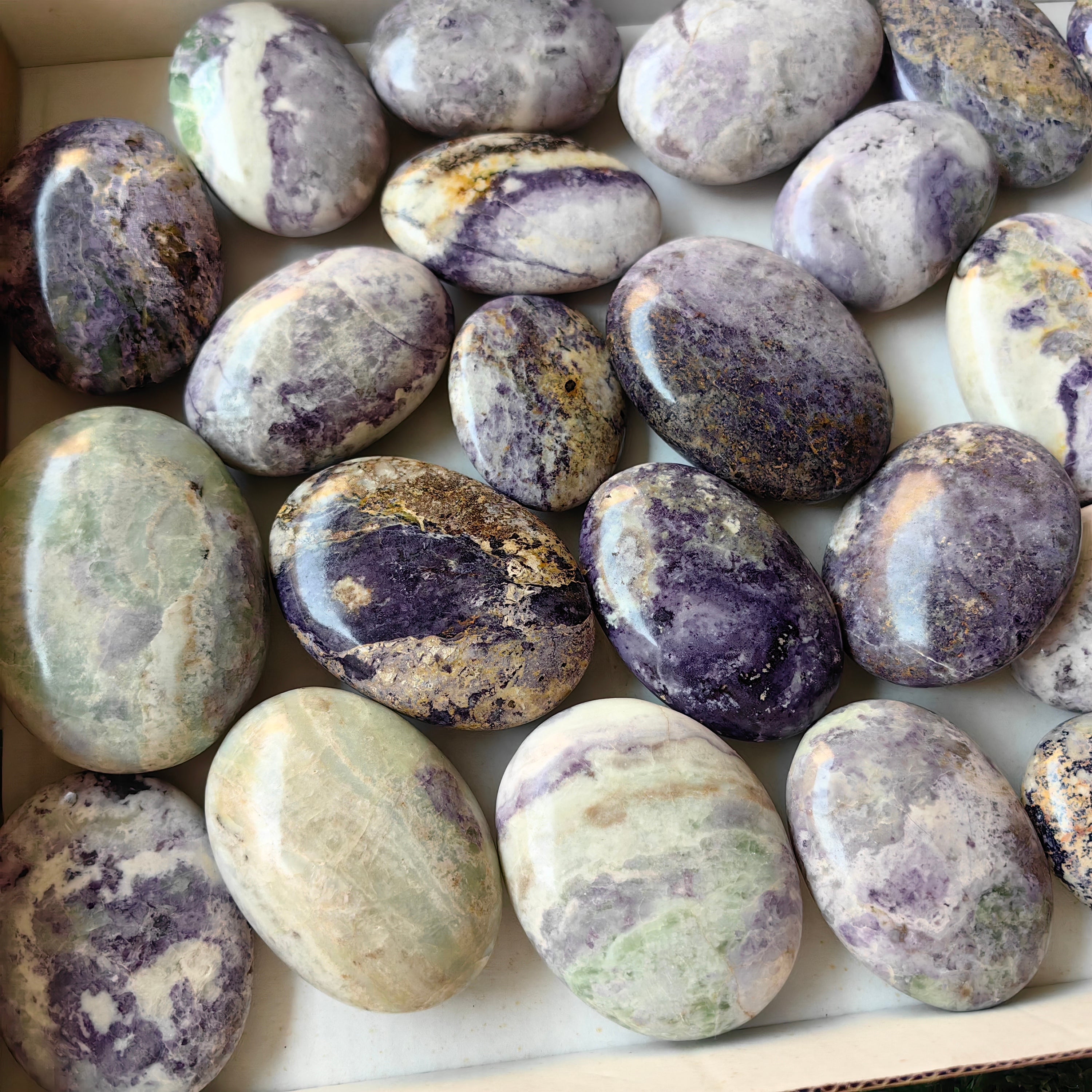 26 pc bolivianite palms