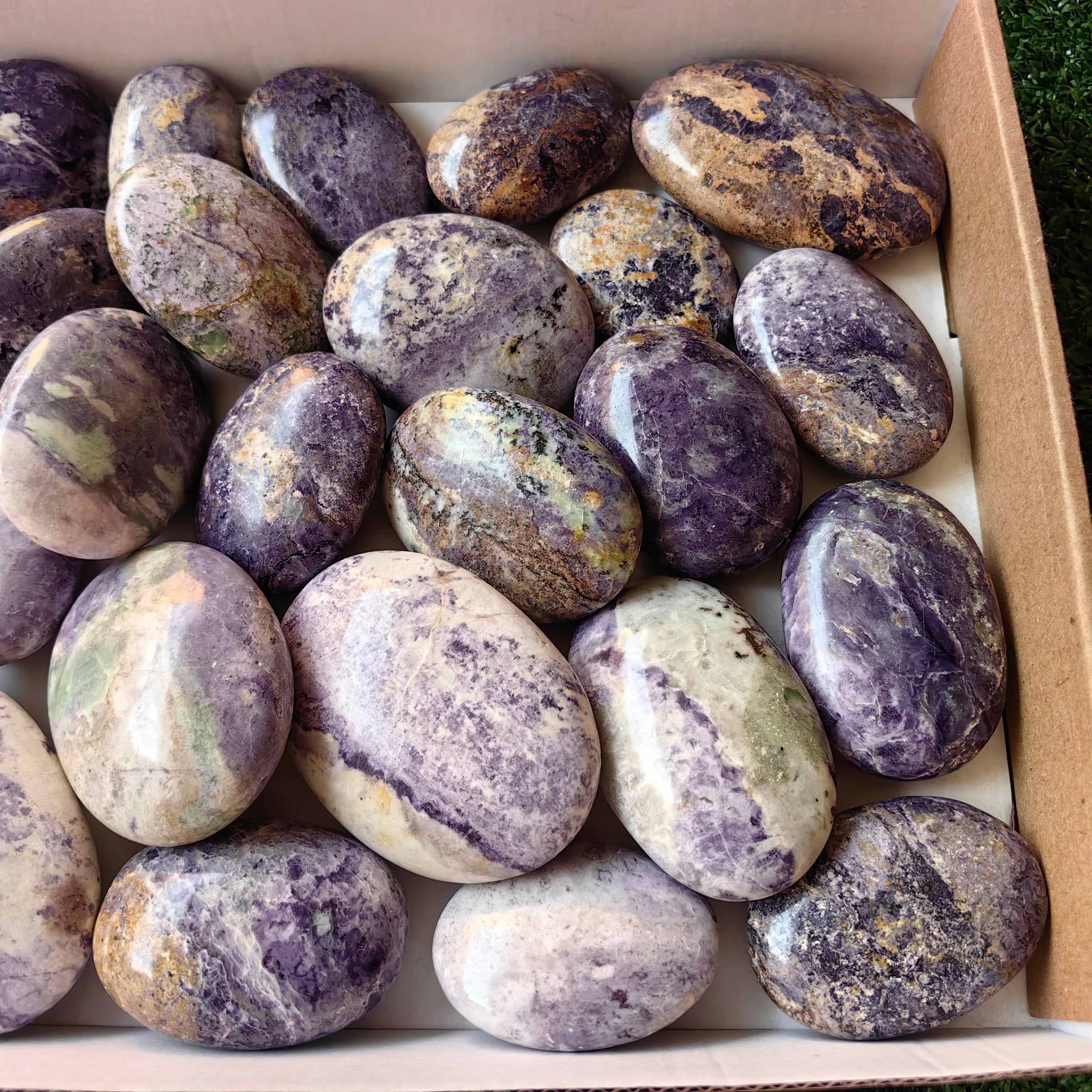 26 pc bolivianite palms