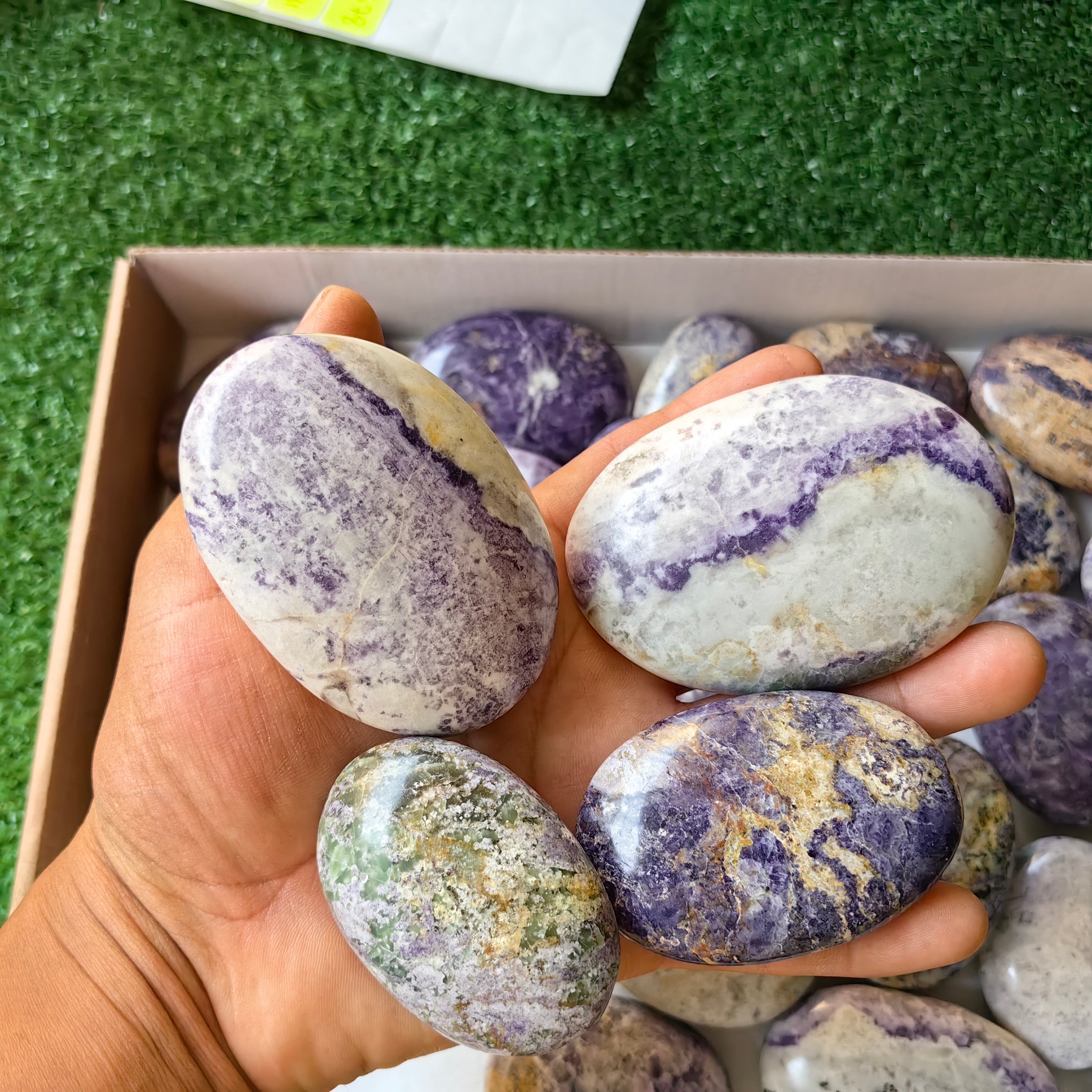 26 pc bolivianite palms