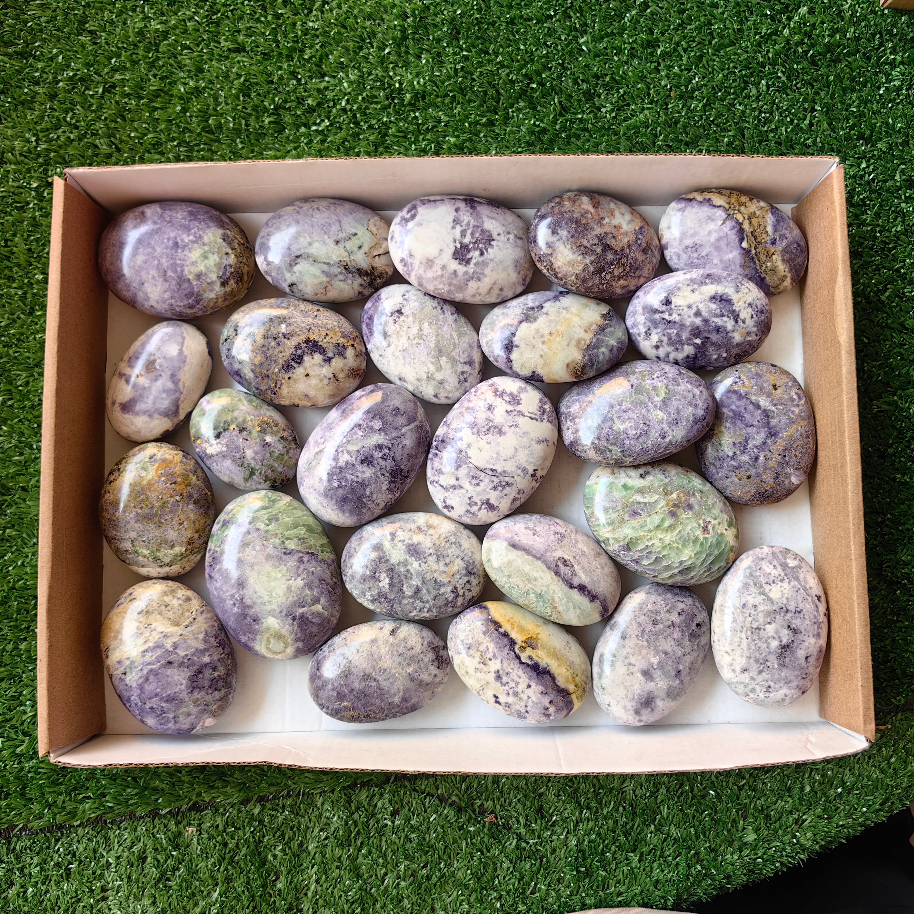 25 pc bolivianite palms