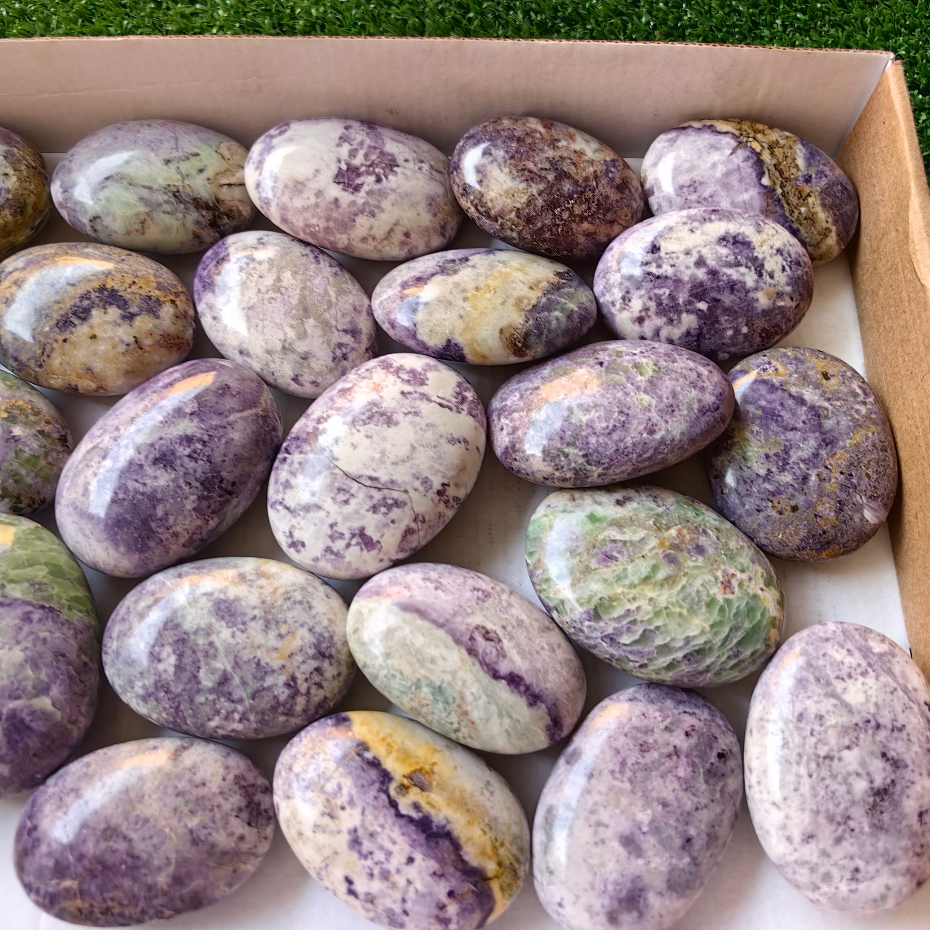 25 pc bolivianite palms