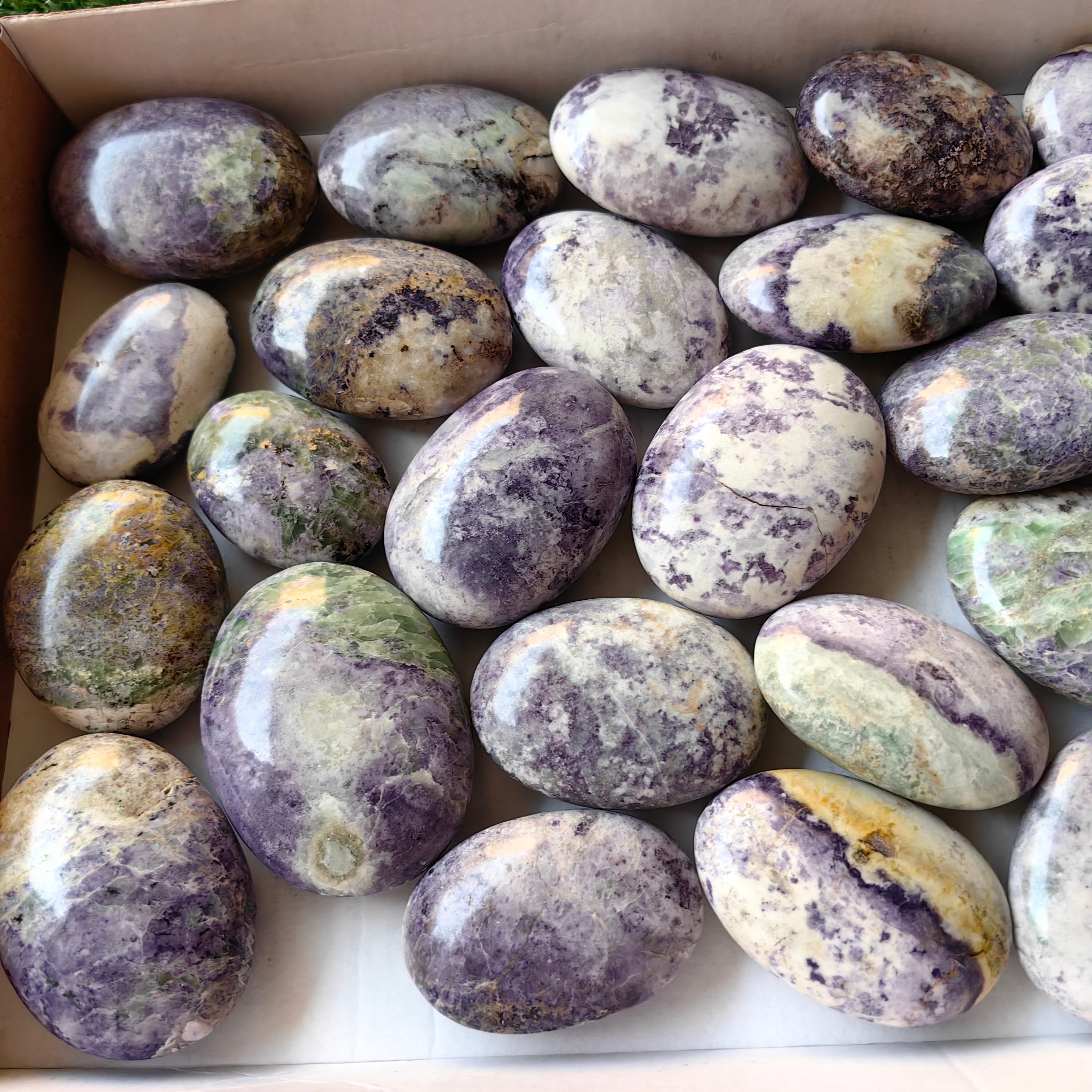 25 pc bolivianite palms