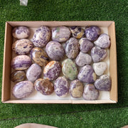 26 pc bolivianite palms & hearts