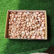2 kg peruvian pink opal tumbled