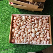 2 kg peruvian pink opal tumbled