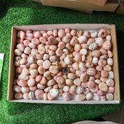 2 kg peruvian pink opal tumbled