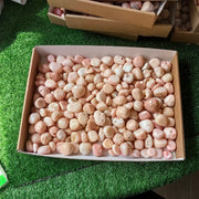 2 kg peruvian pink opal tumbled