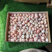 2 kg peruvian pink opal tumbled