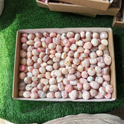 2 kg peruvian pink opal tumbled