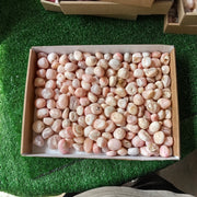 2 kg peruvian pink opal tumbled