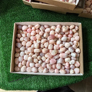 2 kg peruvian pink opal tumbled
