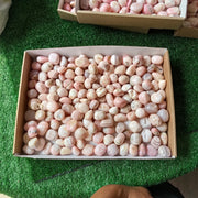 2 kg peruvian pink opal tumbled