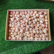 2 kg peruvian pink opal tumbled