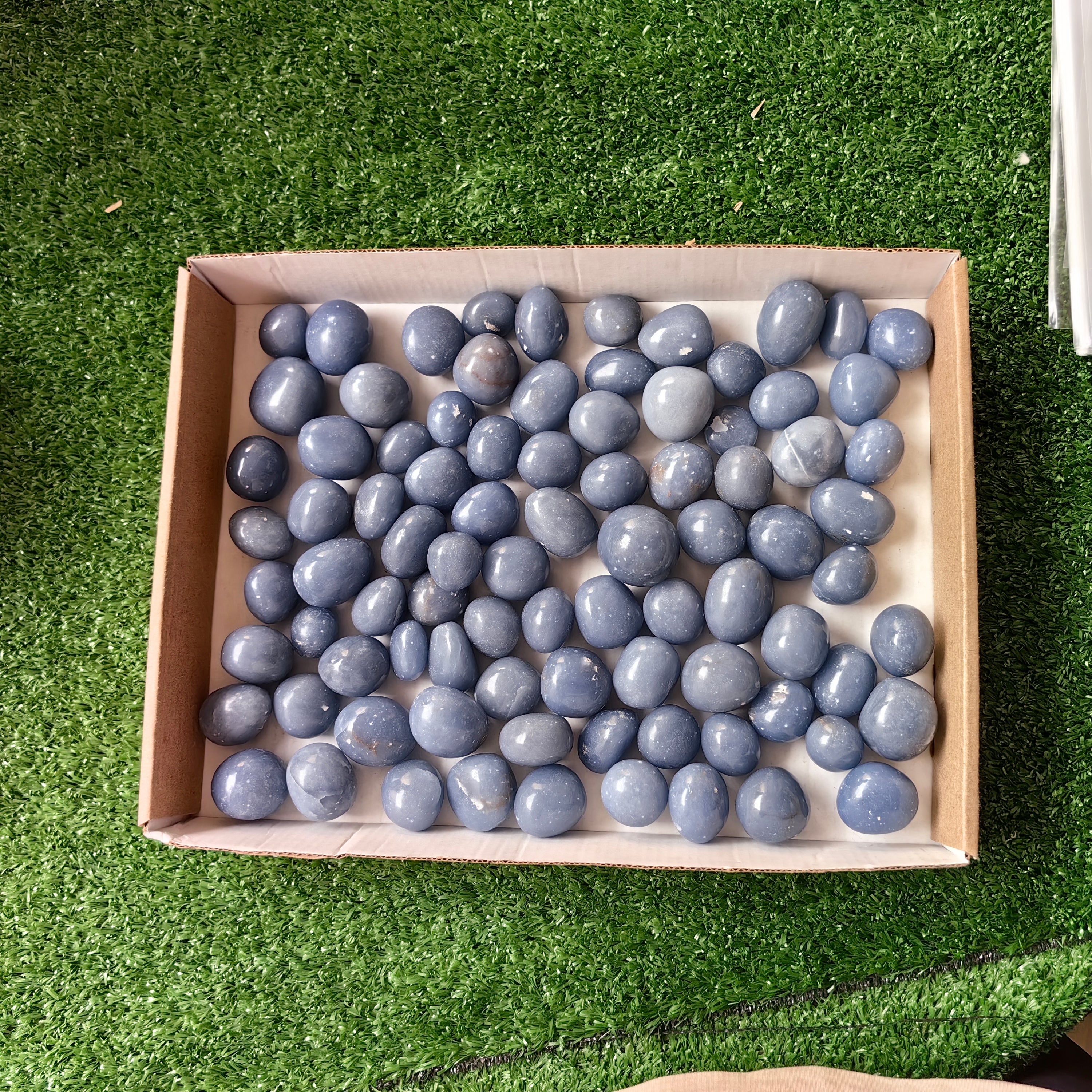 2 kg tumbled blue angelite