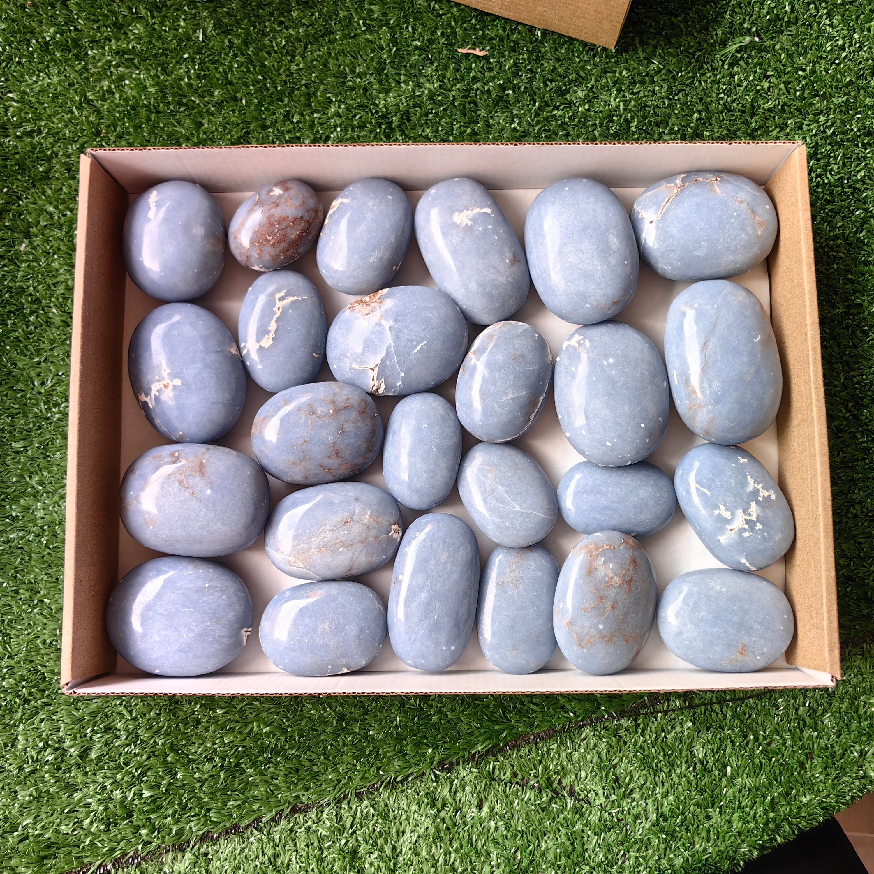 25 pc blue angelite palms