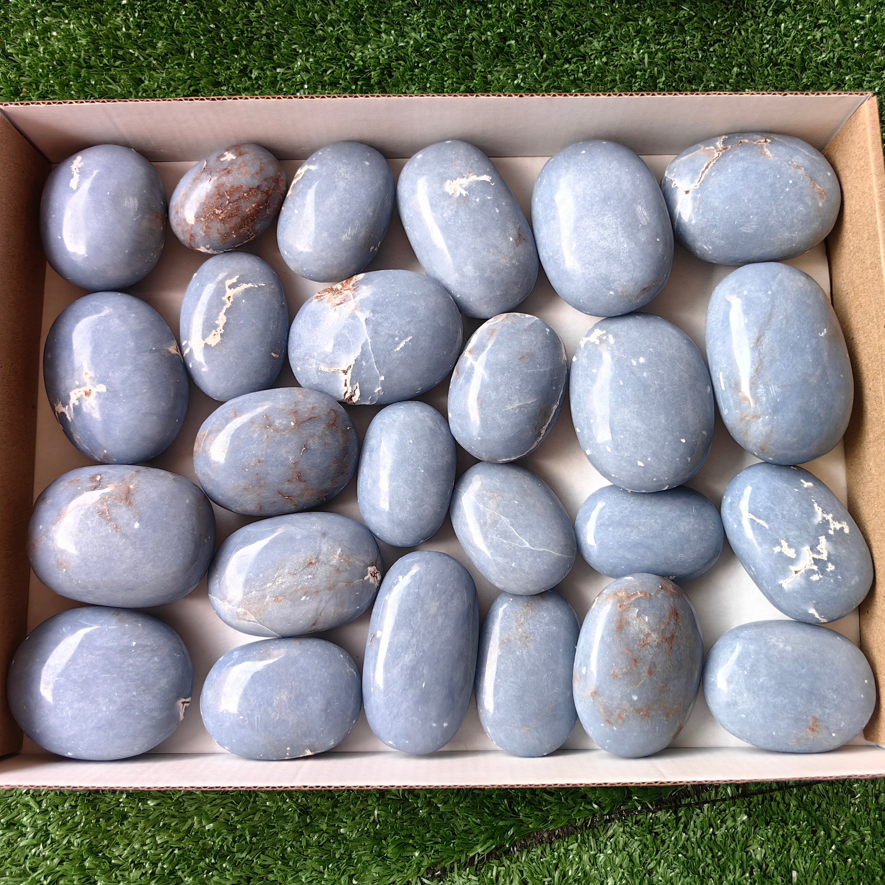 25 pc blue angelite palms