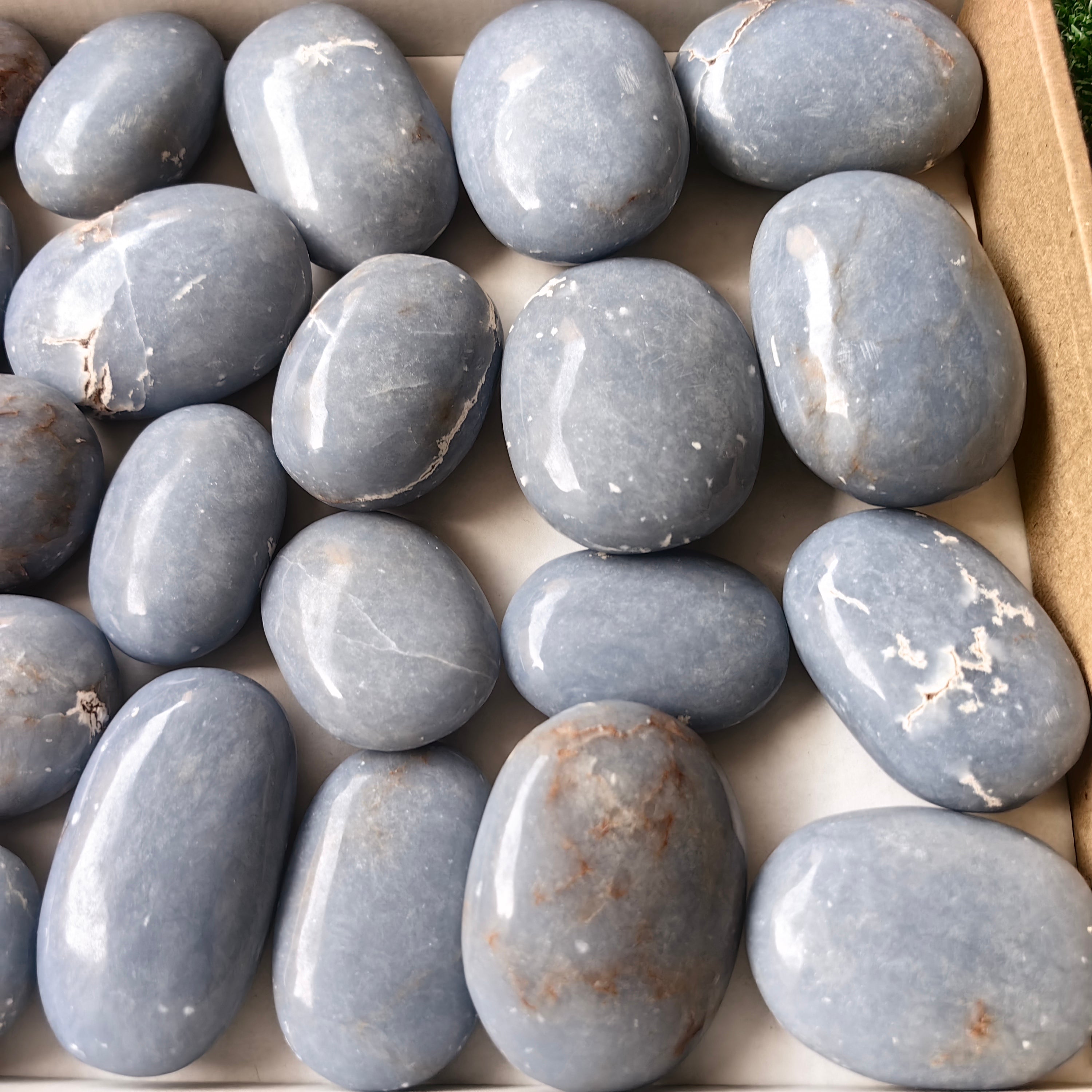 25 pc blue angelite palms