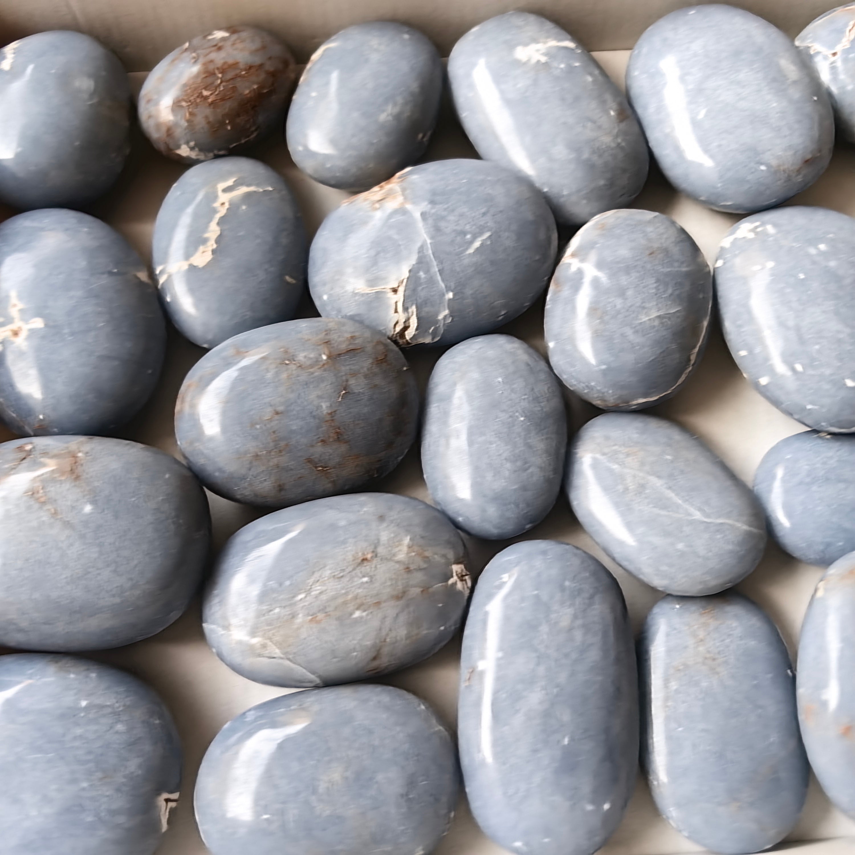 25 pc blue angelite palms