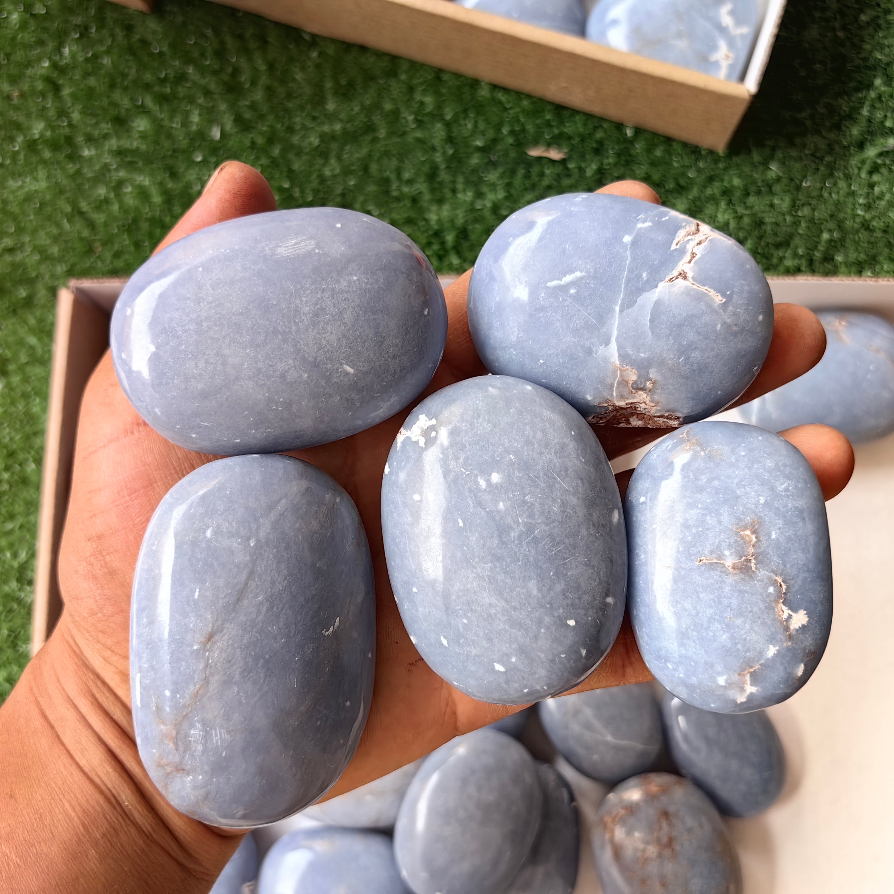 25 pc blue angelite palms