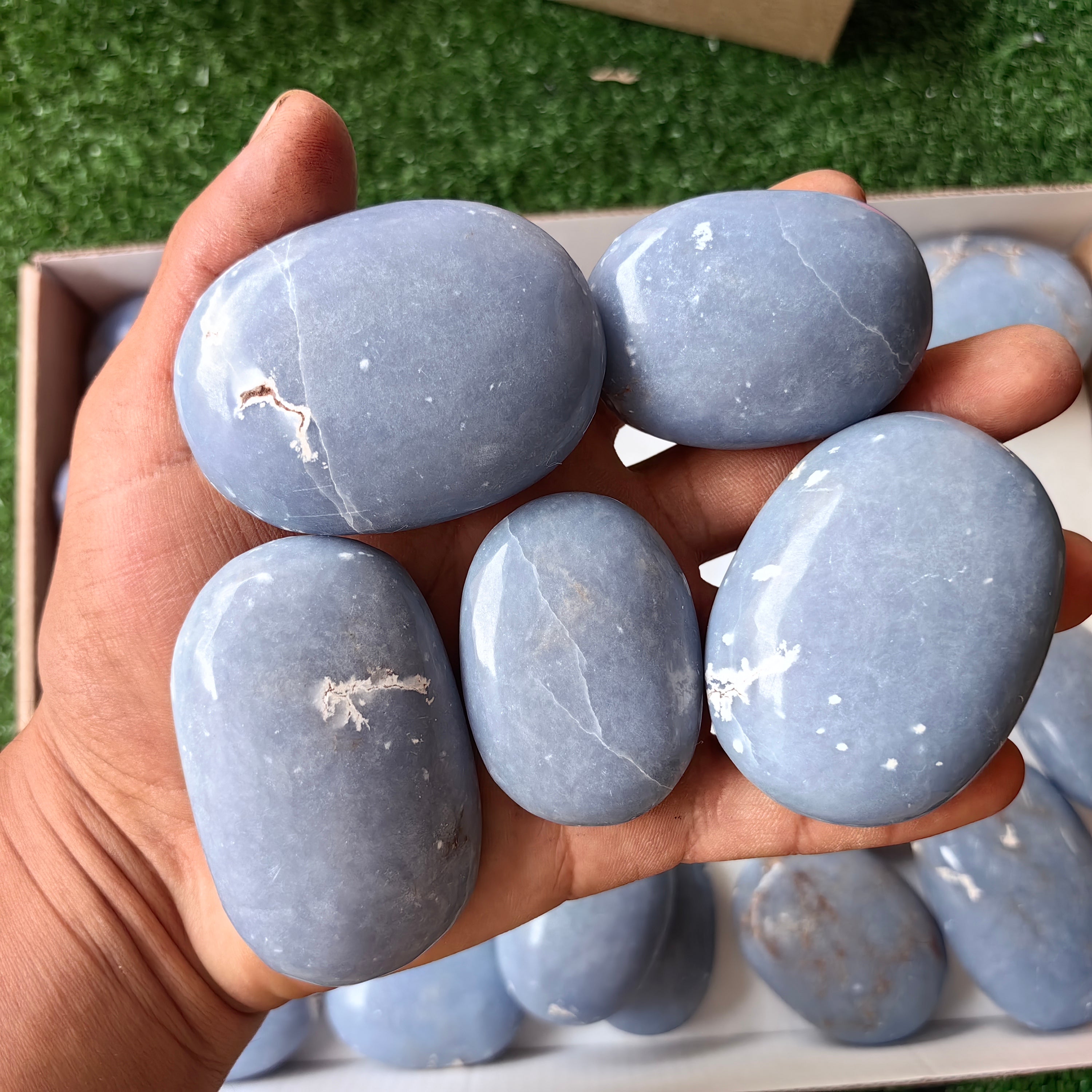 25 pc blue angelite palms