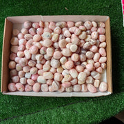 2 kg peruvian pink opal tumbled