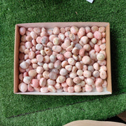 2 kg peruvian pink opal tumbled
