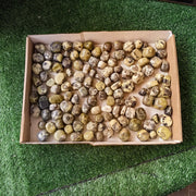 2 kg tumbled green serpentine