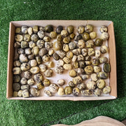 2 kg tumbled green serpentine