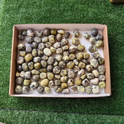 2 kg tumbled green serpentine