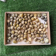 2 kg tumbled green serpentine