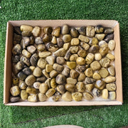 2 kg tumbled green serpentine