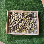 2 kg tumbled green serpentine