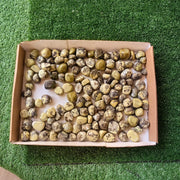 2 kg tumbled green serpentine