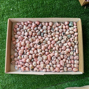 2 kg tumbled pink rhodonite