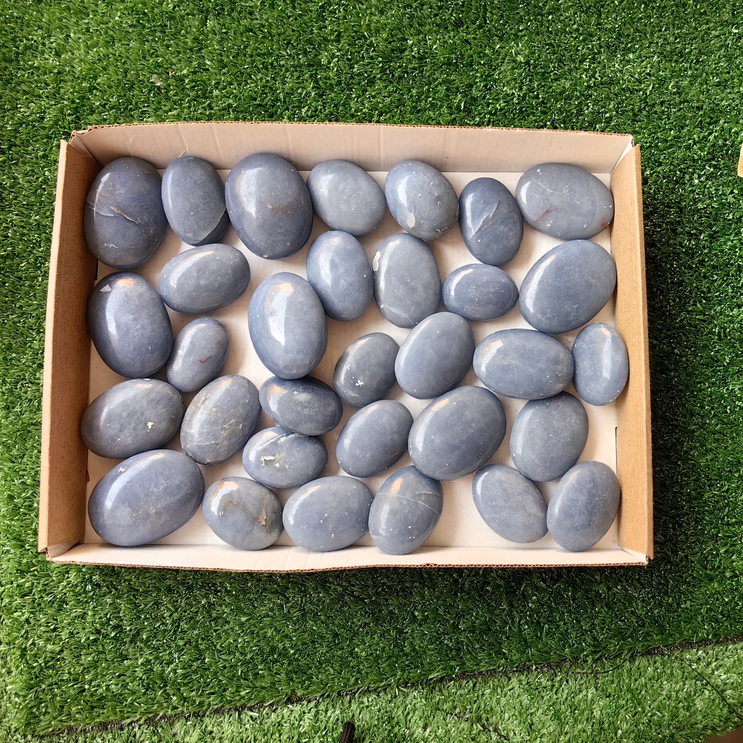 32 pc blue angelite palms