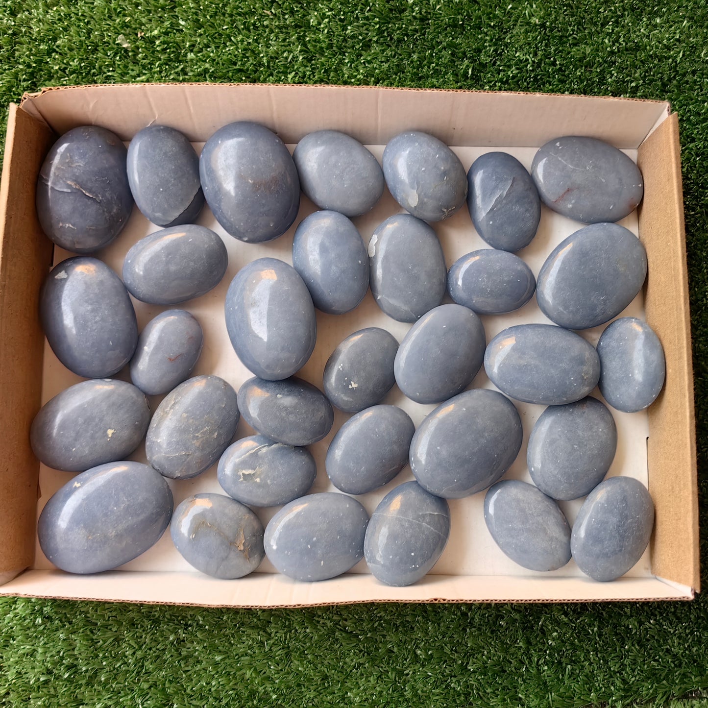 32 pc blue angelite palms