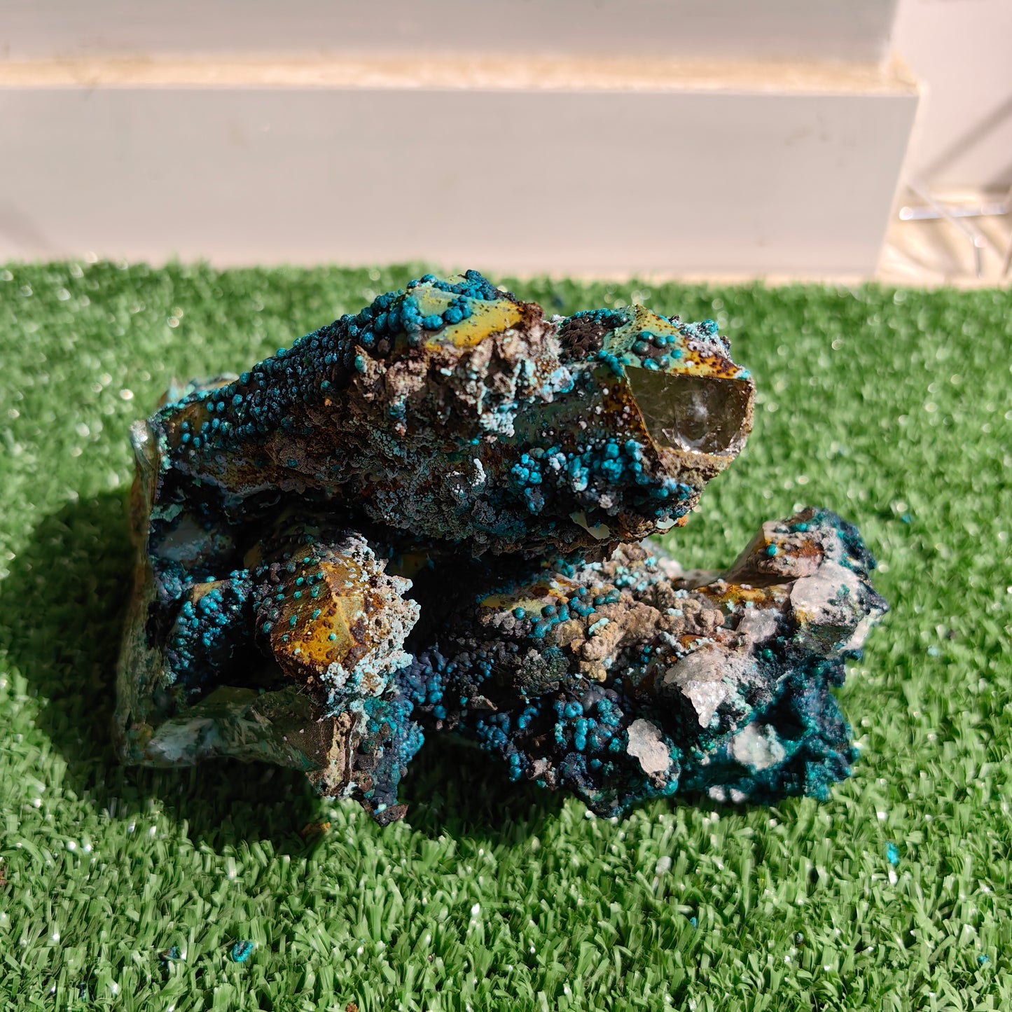 Chrysocolla on Quartz from mine tentadora