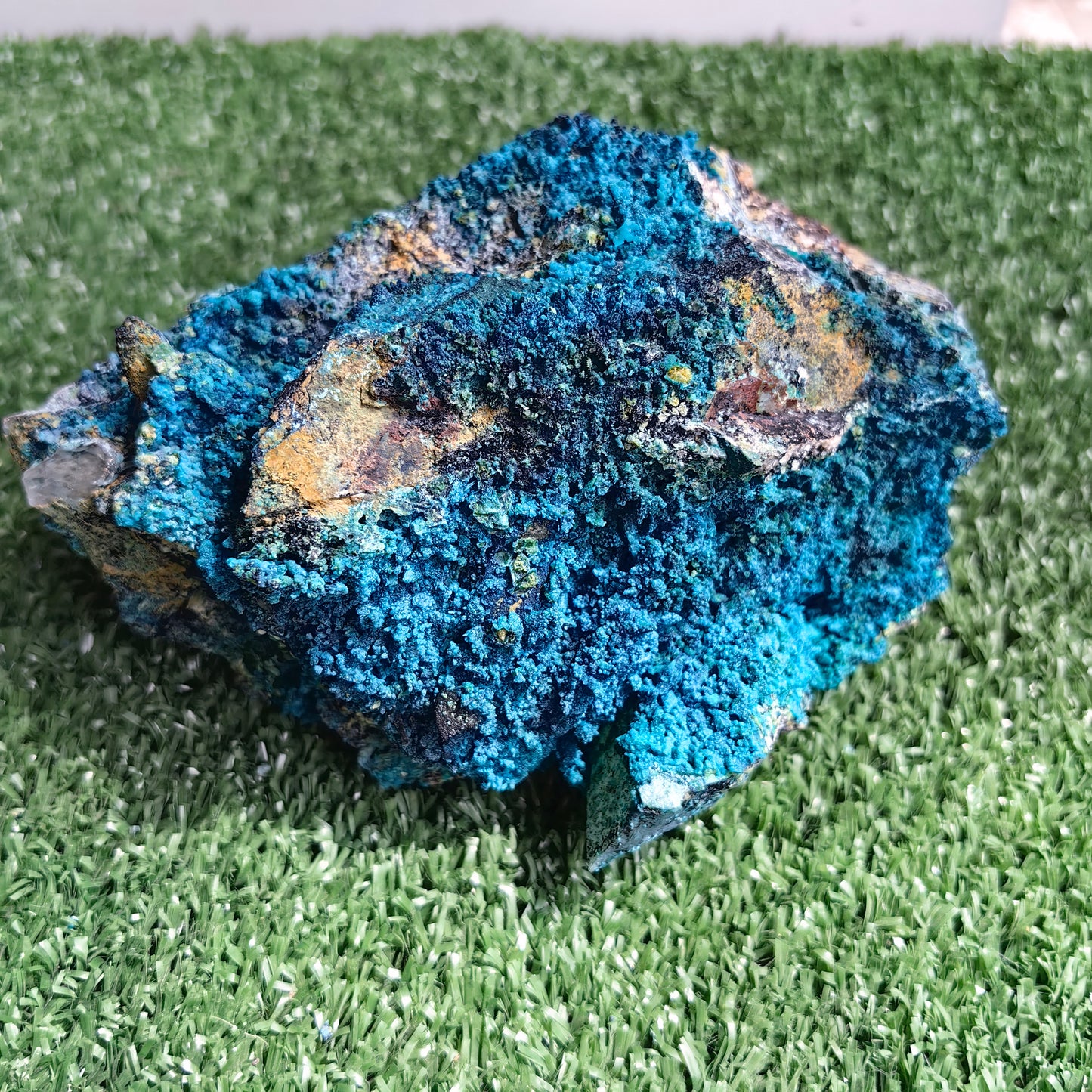 Chrysocolla on Quartz from mine tentadora