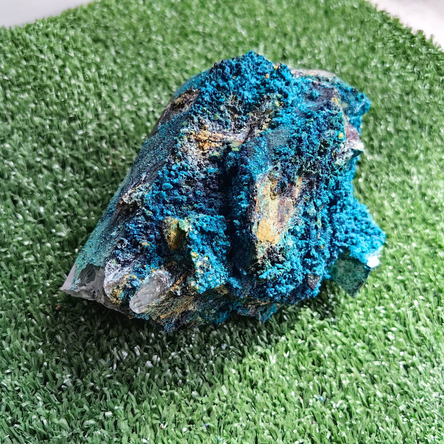 Chrysocolla on Quartz from mine tentadora